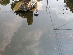 -会龙寺