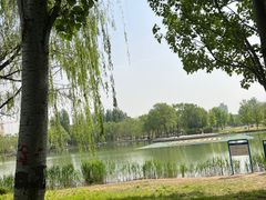 -海淀公园
