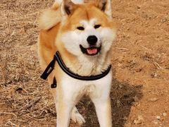 -瀛海足球主题公园