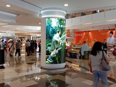 -皇庭广场(福华三路店)