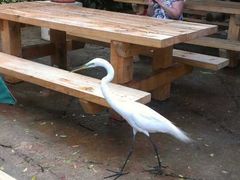 -奥兰多环球影城