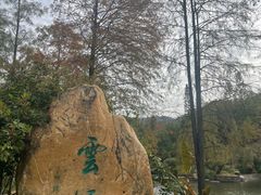-云溪植物园