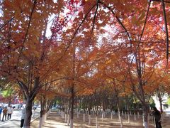 -辽宁大学(崇山校区)