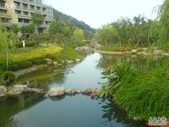 DSC06034-宁波九龙湖开元度假村