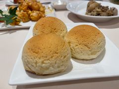 雪顶雄峰-利苑酒家(金宝店)