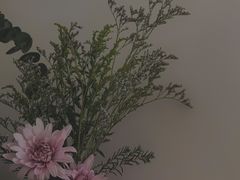 -溪岸路花鸟市场