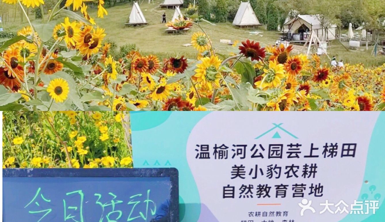 北京遛娃|好玩好拍好逛的宝藏公园