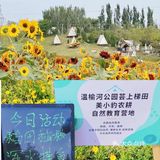 北京遛娃|好玩好拍好逛的宝藏公园