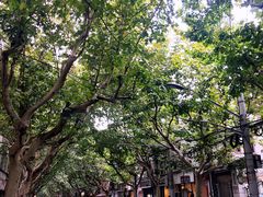 -蝶舍·MAISON PAPILLON