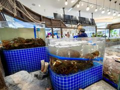 -半岛听涛蒸汽海鲜自助(K11店)