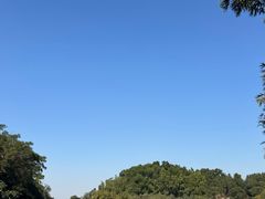 -国恩寺