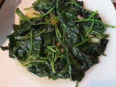 农家炒番薯叶-珍味汤馆·潮汕家乡菜(保利文化广场店)