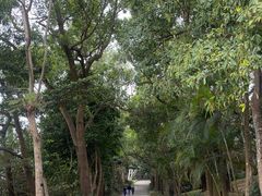 -小南山公园