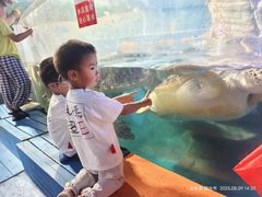 -烟台海昌鲸鲨海洋公园