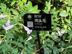 -昆明植物园