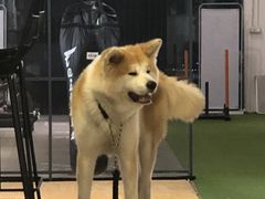 -YCHL Studios健身工作室(市二宫店)