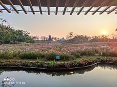 -海花岛旅游度假区