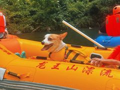 -安吉龙王山峡谷漂流