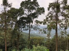 -广州市帽峰山景区