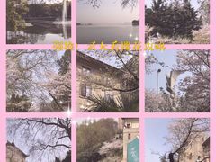 -武汉大学-樱园