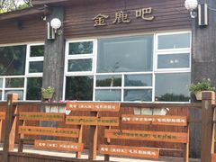 -杨梅坑