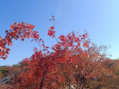 -周口店坡峰岭风景区