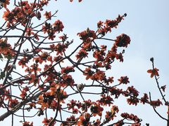-攀枝花公园