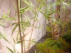 -绿茶餐厅(淮安吾悦广场店)