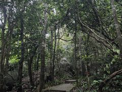 -七仙岭温泉国家森林公园