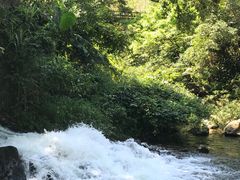 -广州市石门国家森林公园