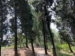 -金堂县云顶石城风景区