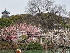 -无锡梅园公园