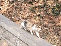 -四门塔风景区