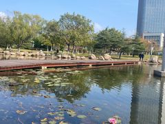 -丁家河公园