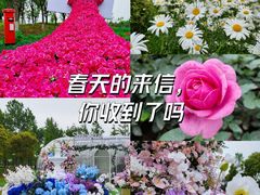 -春花秋色城市公园