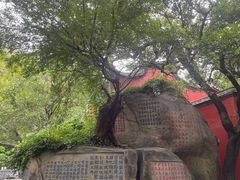 -乌山风景区