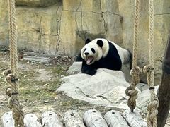-上海野生动物园