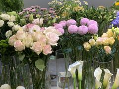 -花未央花店·WEYOUNG