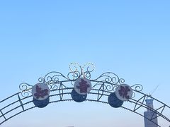 -武汉知音号