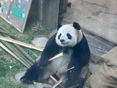 -大连森林动物园