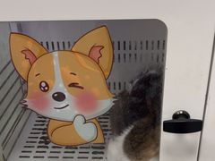 -瑞派康怡24h宠物医院·犬猫医疗中心·微创绝育(瑞景分院)