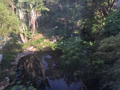 -三亚亚龙湾雅高美爵酒店