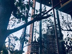 -D STAR COFFEE帝星咖啡