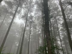 -綦江古剑山