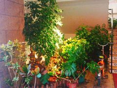 -茶油香闽南菜·花园餐厅(前埔店)