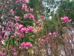 -重庆市江北嘴中央商务区中央公园