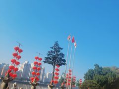 -江心屿景区