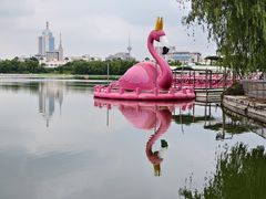 -莲花池公园
