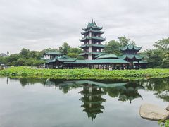 -桂湖森林公园