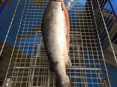 -麦德龙(郑东店)